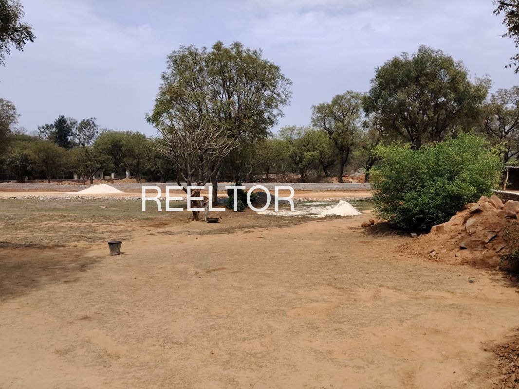 Plots For Sale In Dargaut Theog