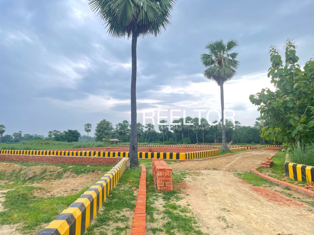 Plots For Sale In Chhapryai Berasia
