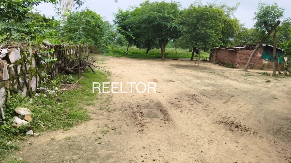 Plots For Sale In Salagrampura Chaksu