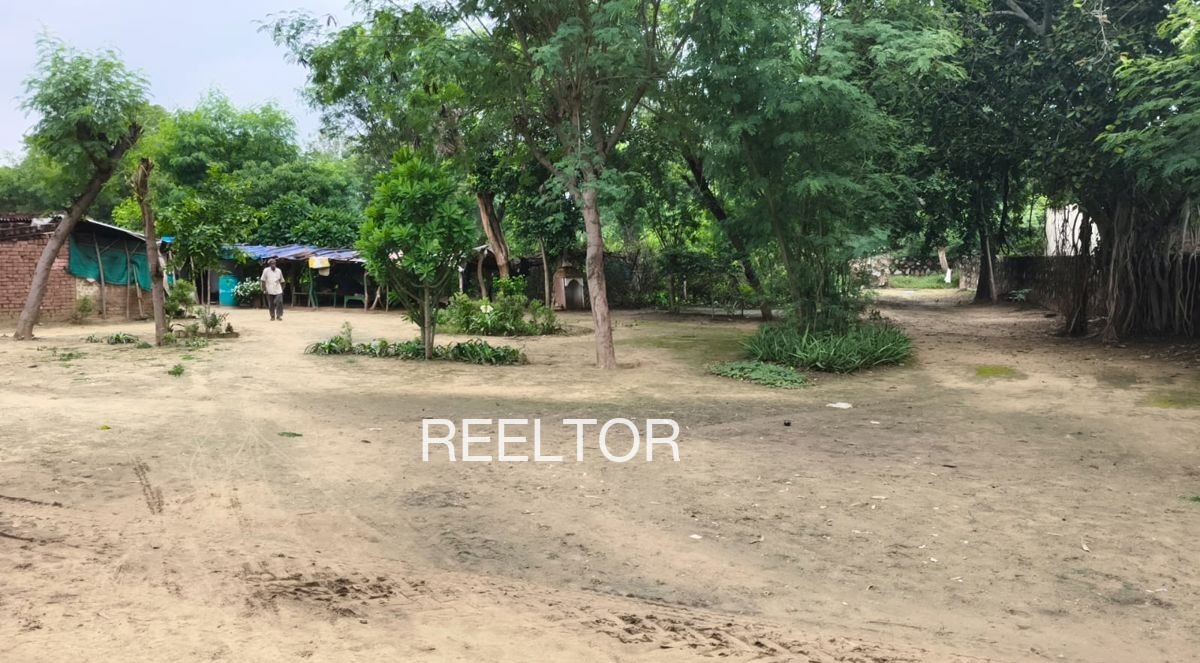 Plots For Sale In Palpur Rajgarh