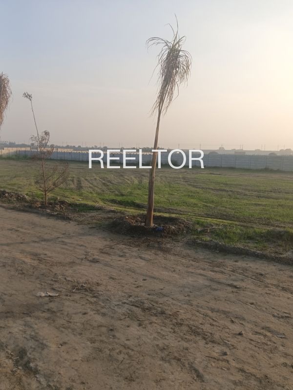 Plots For Sale In Kashada Bhuntar