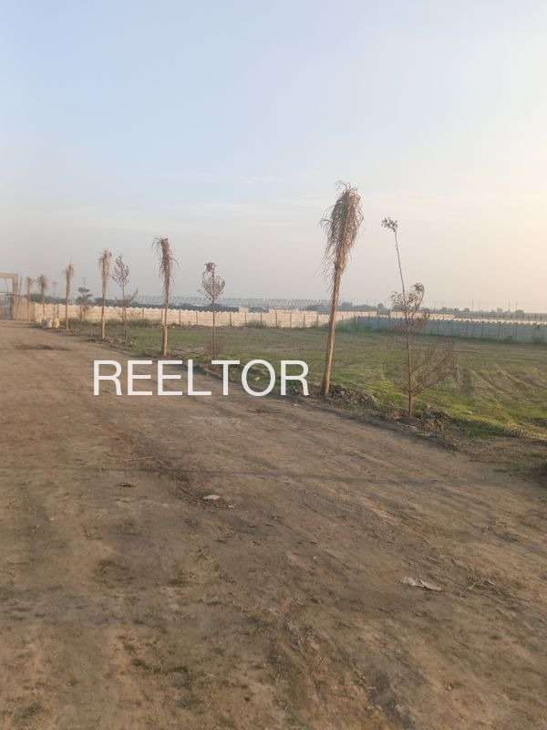 Plots For Sale In Dalelpura Hindoli
