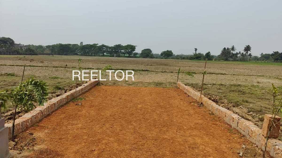 Plots For Sale In Vaishali Ghaziabad