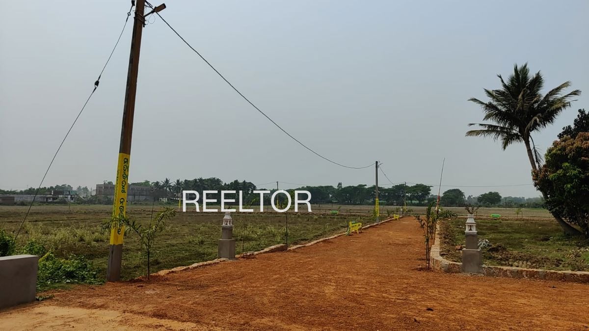 Plots For Sale In Sunwali Chorasi