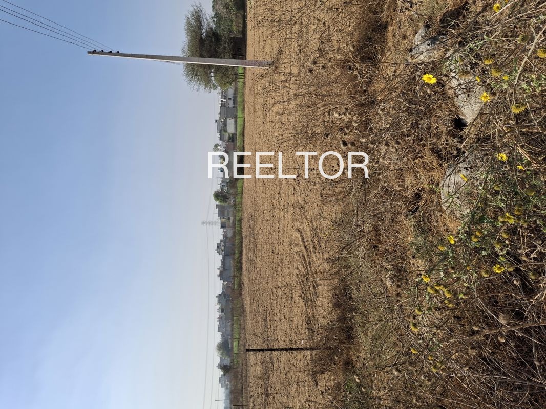 Plots For Sale In Jaspali Pipar City