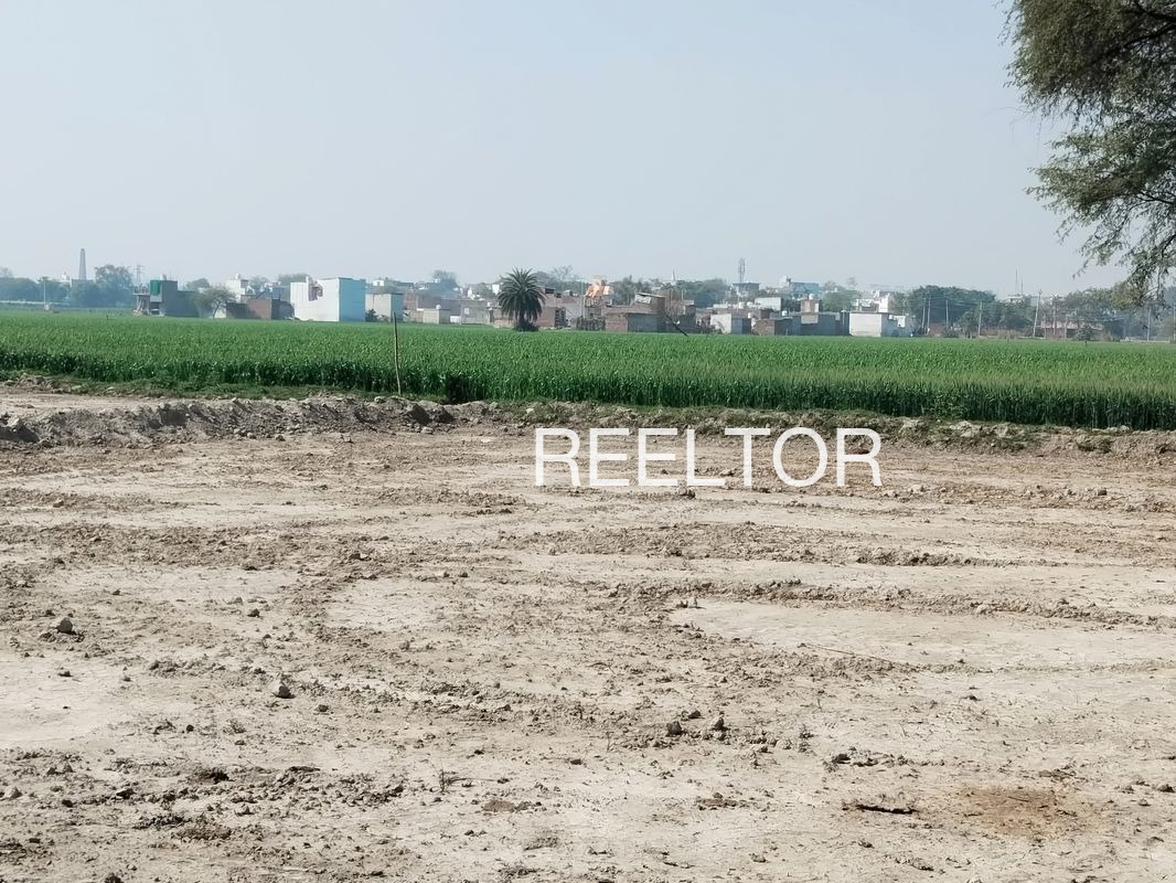 Plots For Sale In Harigarh Dalipsingh Haldwani