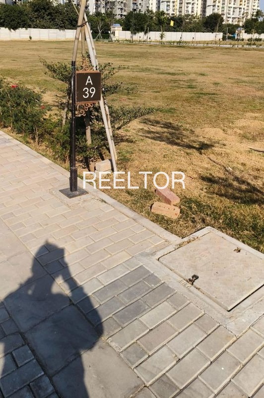 Plots For Sale In Mulchera Maharashtra