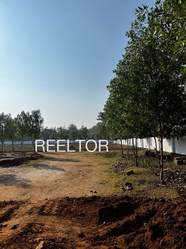 Plots For Sale In Balekumeri Colony Kasaragod