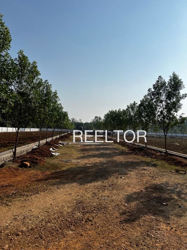 Plots For Sale In 1 Mk A Raisinghnagar