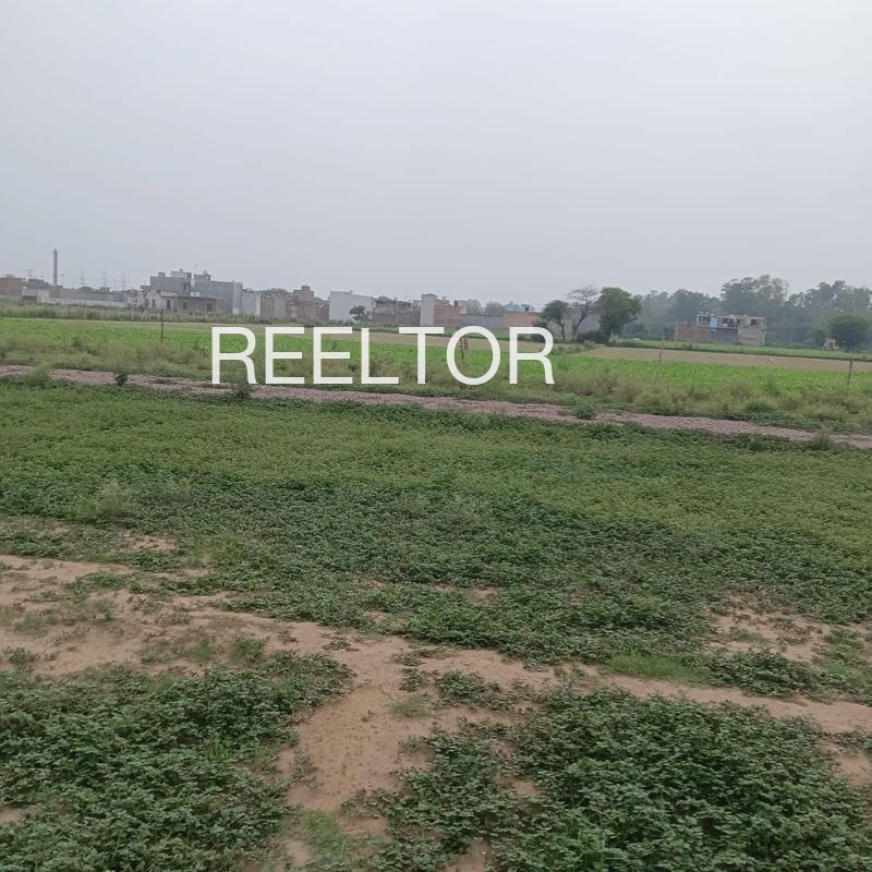 Plots For Sale In Onaparamb Colony Payyannur