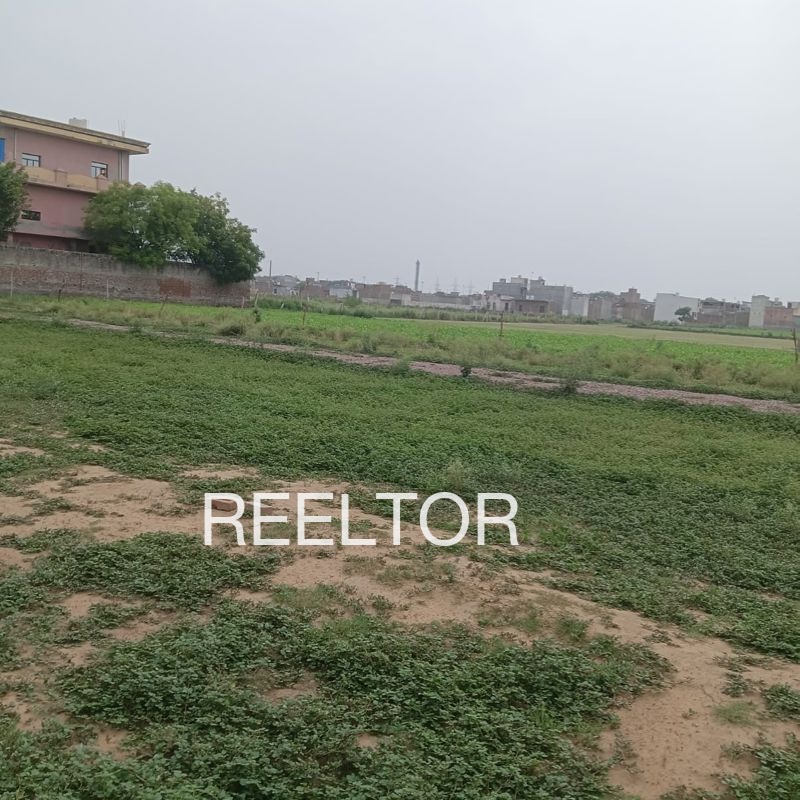 Plots For Sale In Chora Kalan Sajjangarh