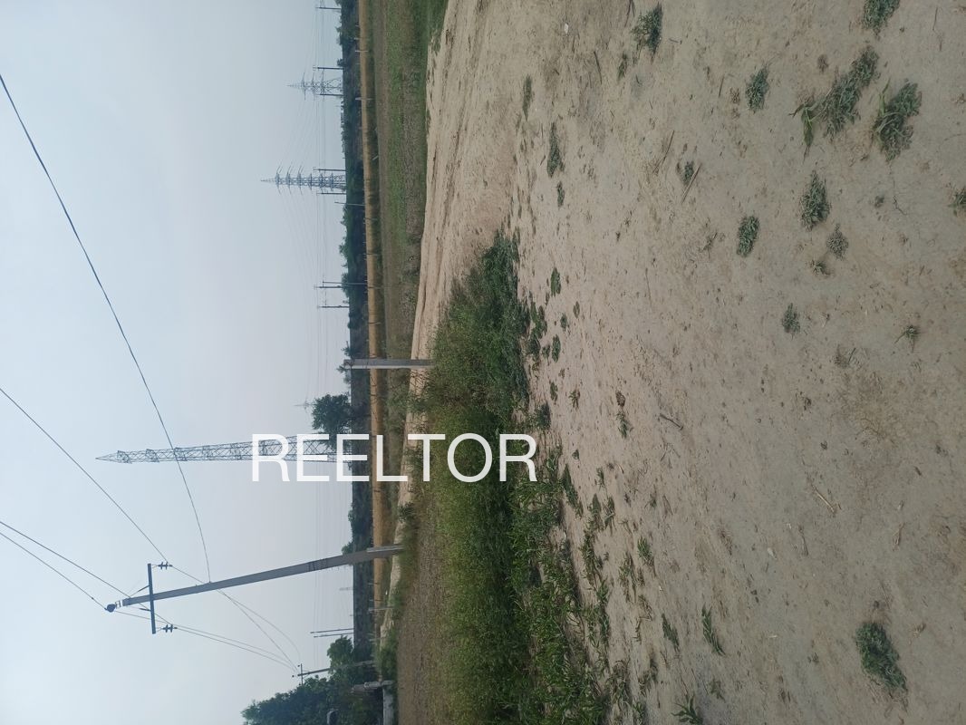 Plots For Sale In Tsokilpur Shangus