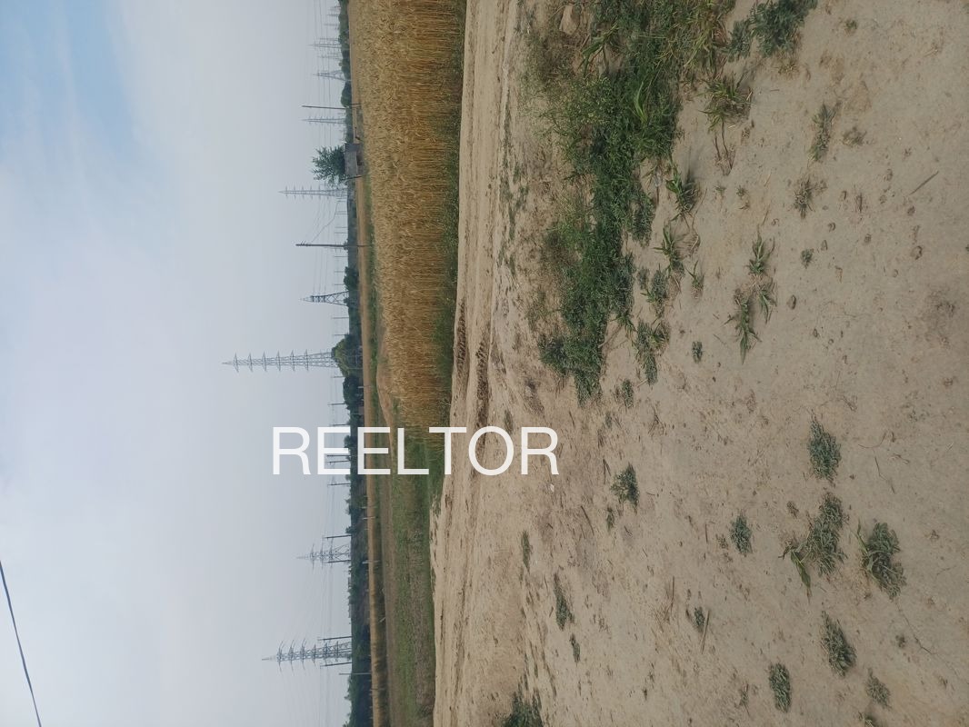 Plots For Sale In Kiroli Shivpuri