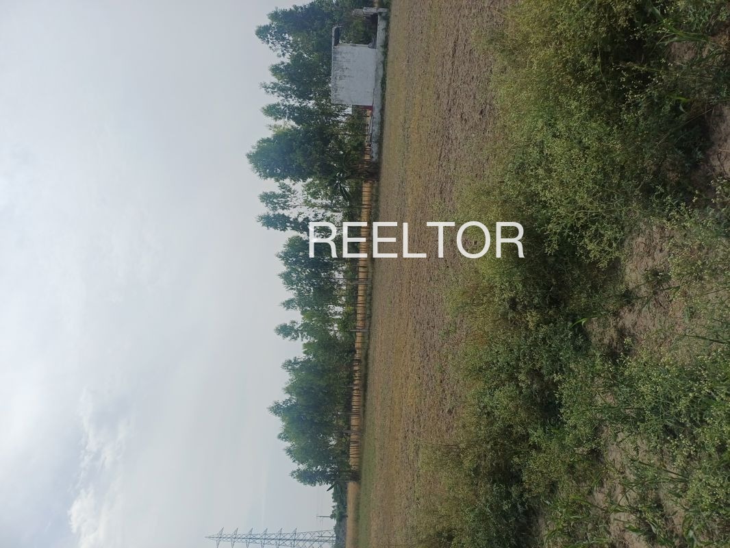 Plots For Sale In Bachhola Nainwa