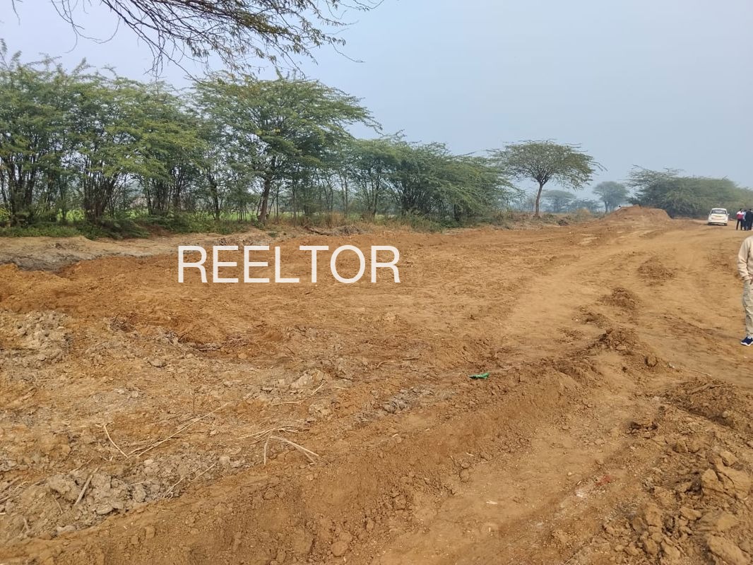Plots For Sale In Indraji Ka Kheda Singoli