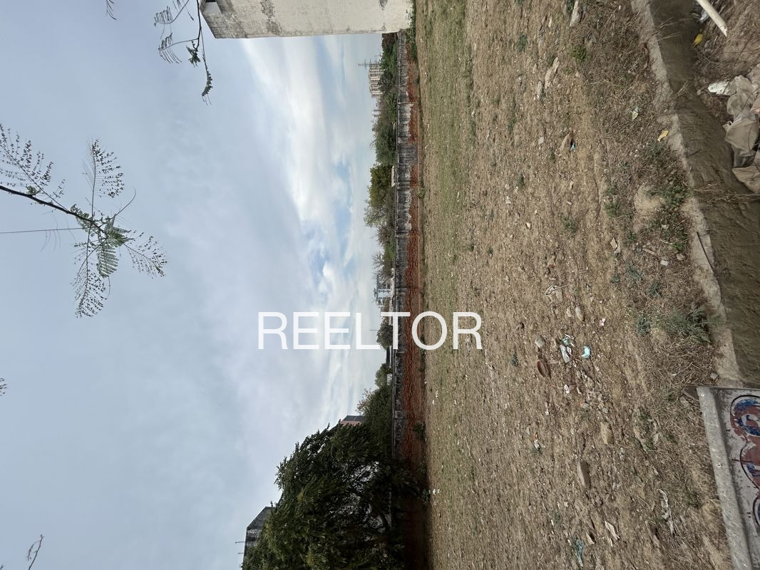 Plots For Sale In Rai Singhwala Bhawanigarh