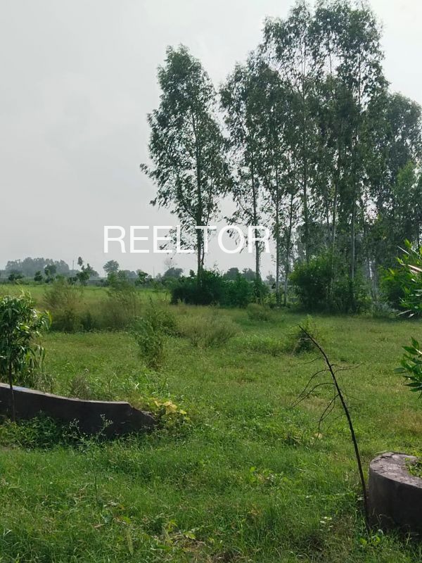 Plots For Sale In Chak Kera Sadulshahar