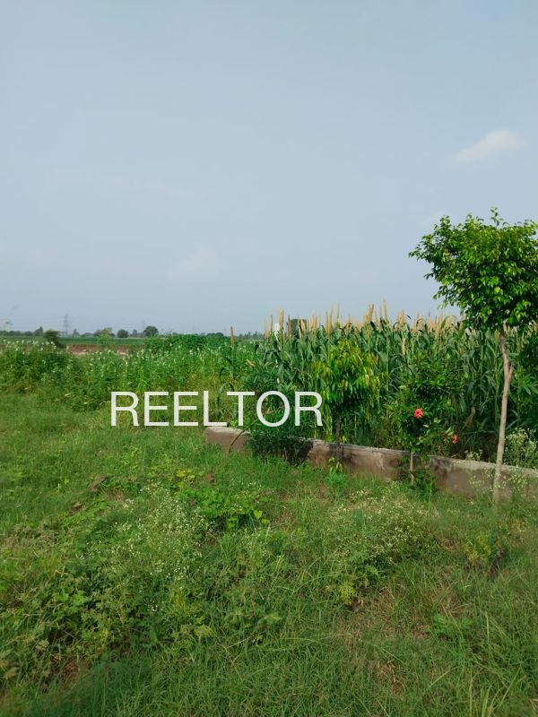 Plots For Sale In Gadhi Mehgaon