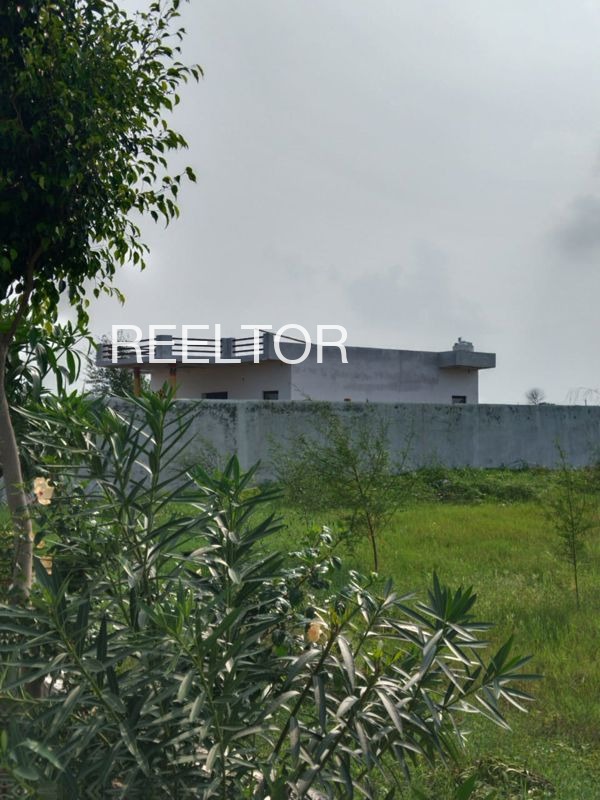 Plots For Sale In 21 Mod Pilibanga