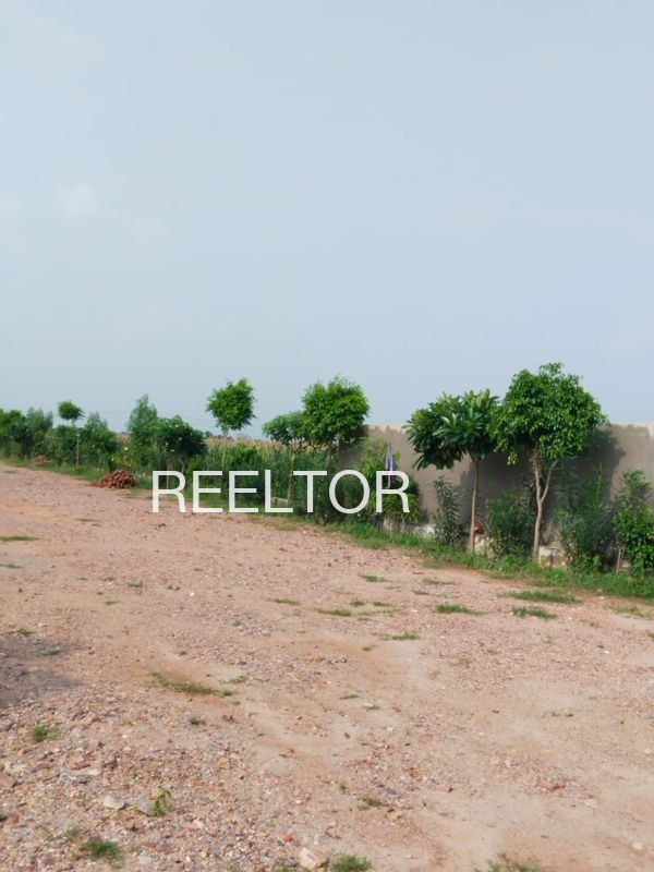 Plots For Sale In Sarhala Ranuan Banga