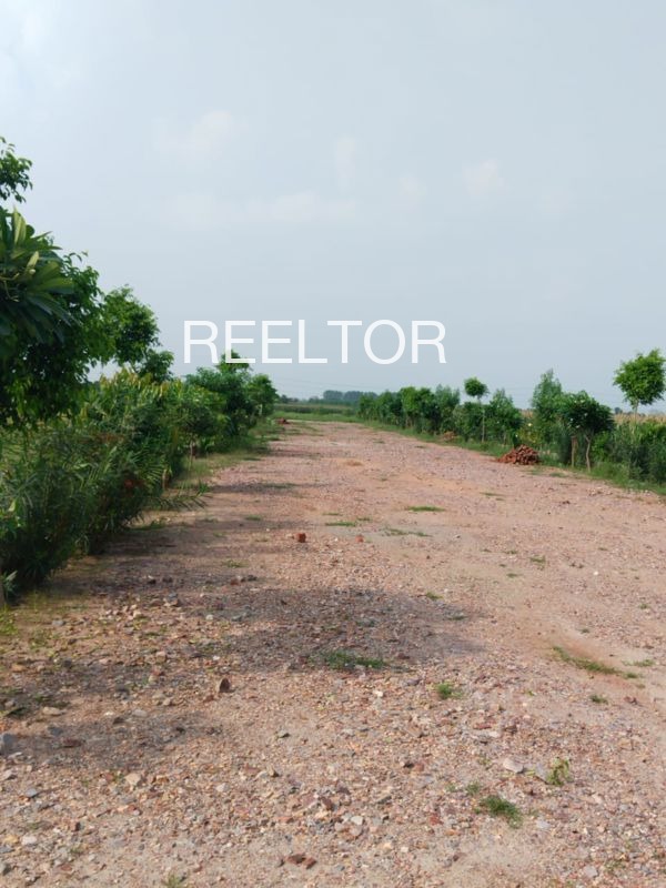 Plots For Sale In Bahal Thunag