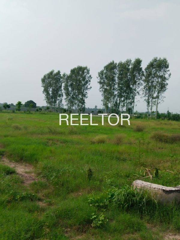 Plots For Sale In Khambewadi Jalna