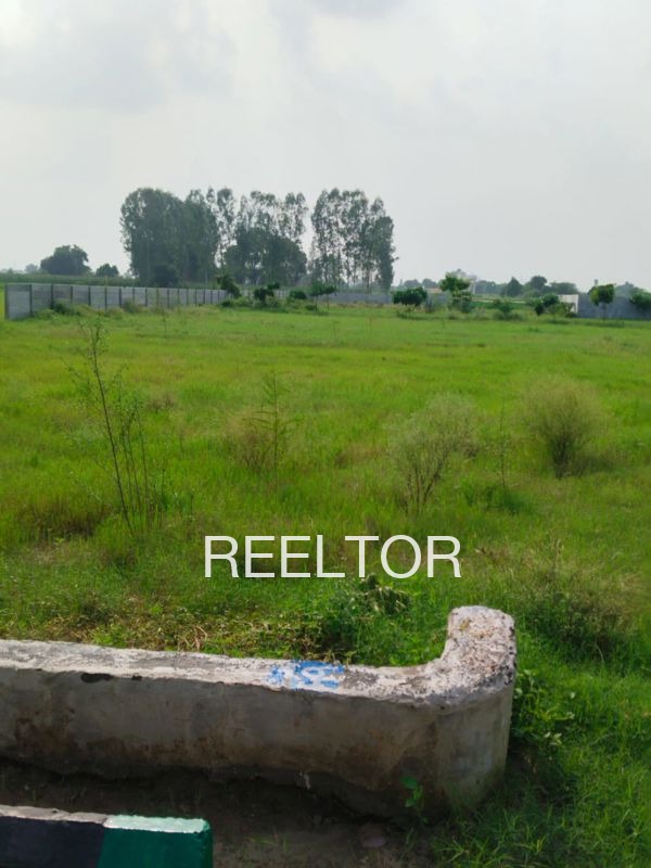 Plots For Sale In Kuchor Aguni Nokha