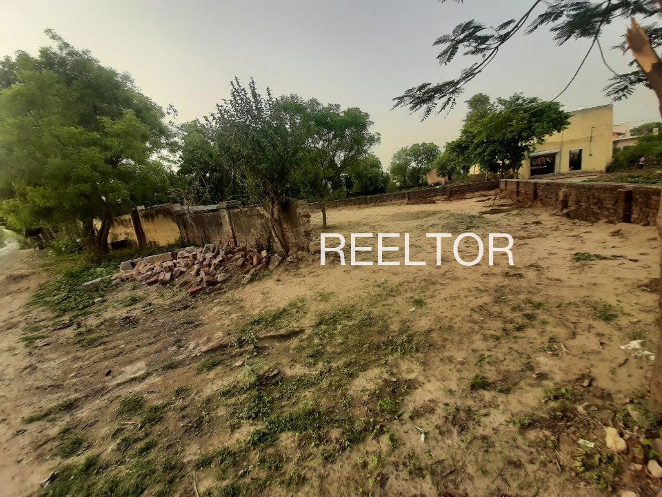 Plots For Sale In Kasal Hathnoora