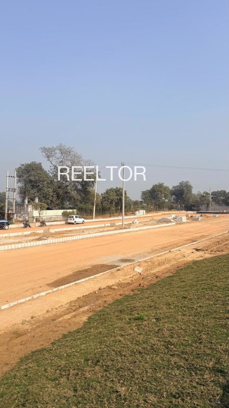 Plots For Sale In Pachgaon Toli Mohadi