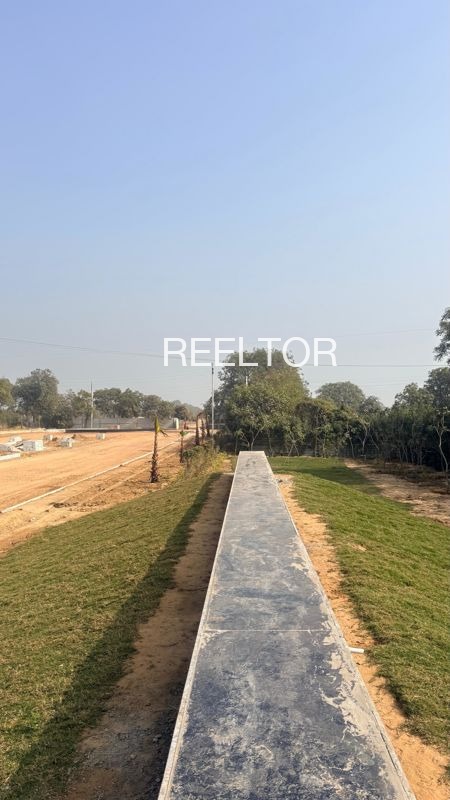 Plots For Sale In Chora Kalan Sajjangarh