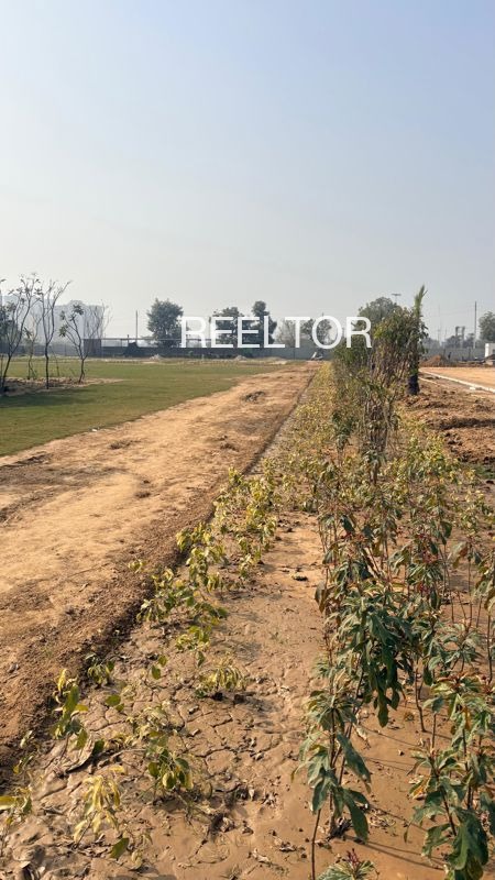Plots For Sale In Rajpur Khair