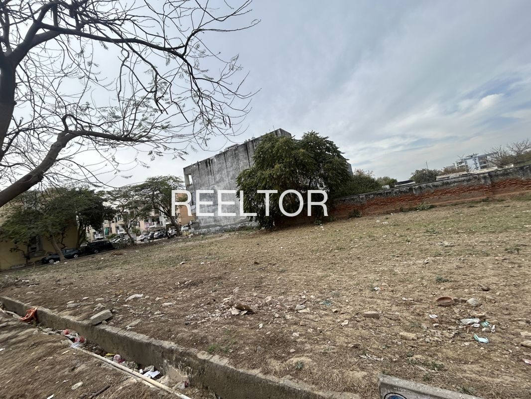 Plots For Sale In Matili Rathan Ganganagar