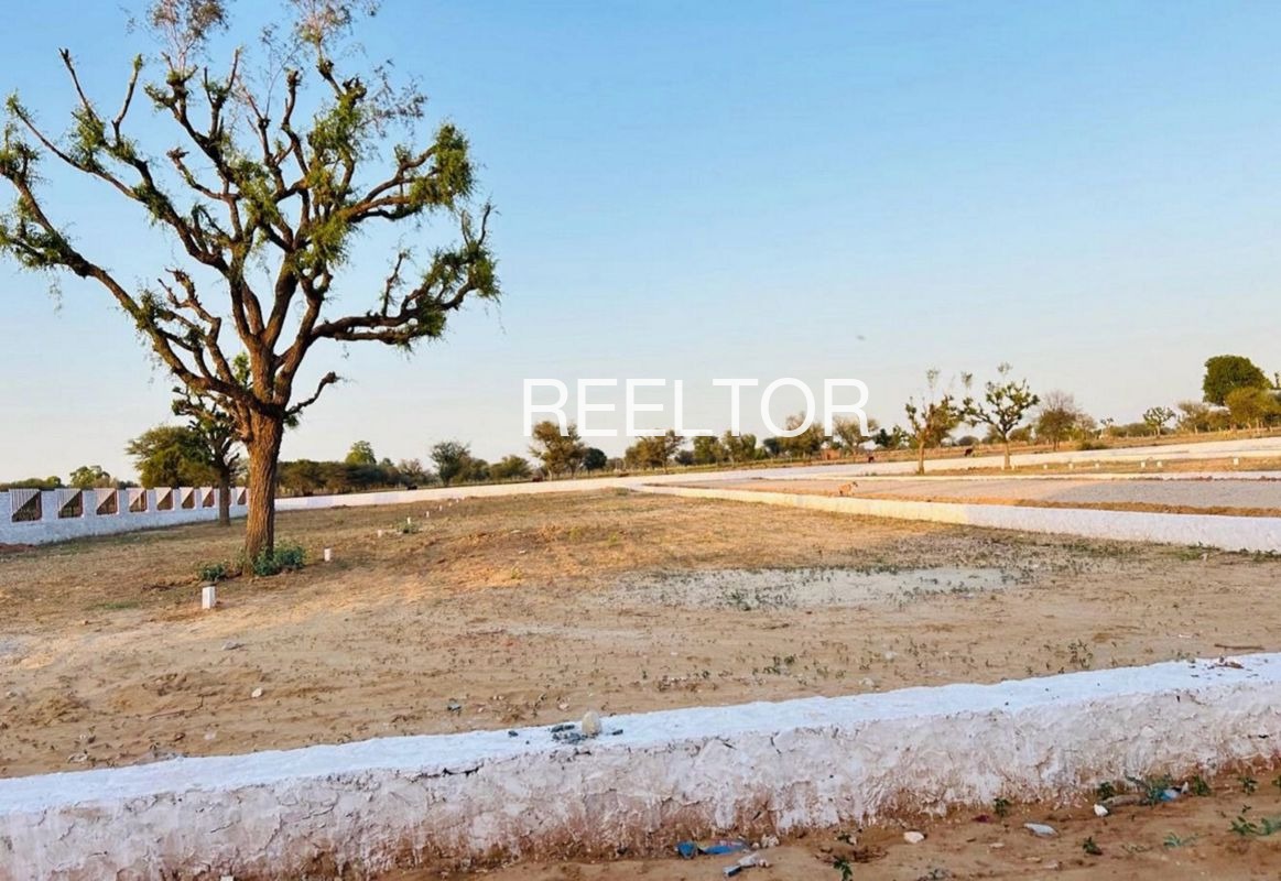 Plots For Sale In Tadasha Ani