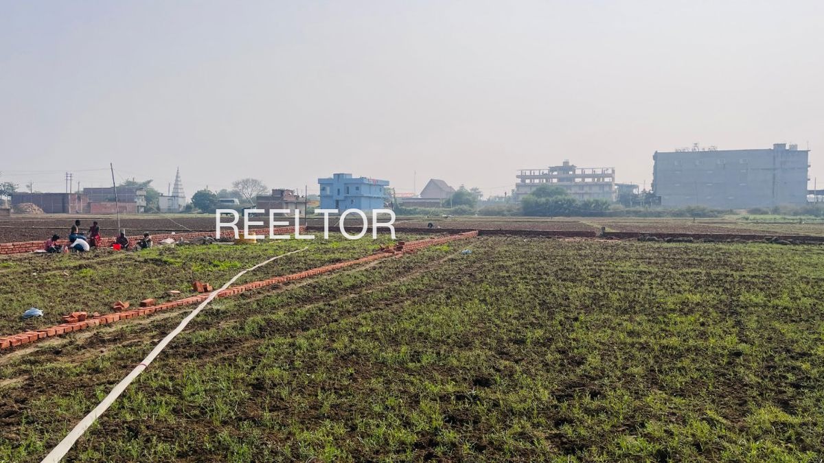 Plots For Sale In Chainpura Khurd Lalsot