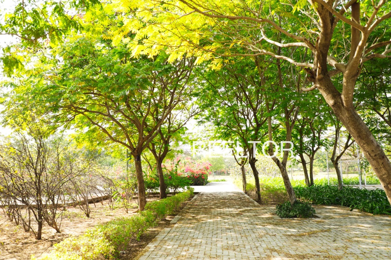 Plots For Sale In Tsokilpur Shangus