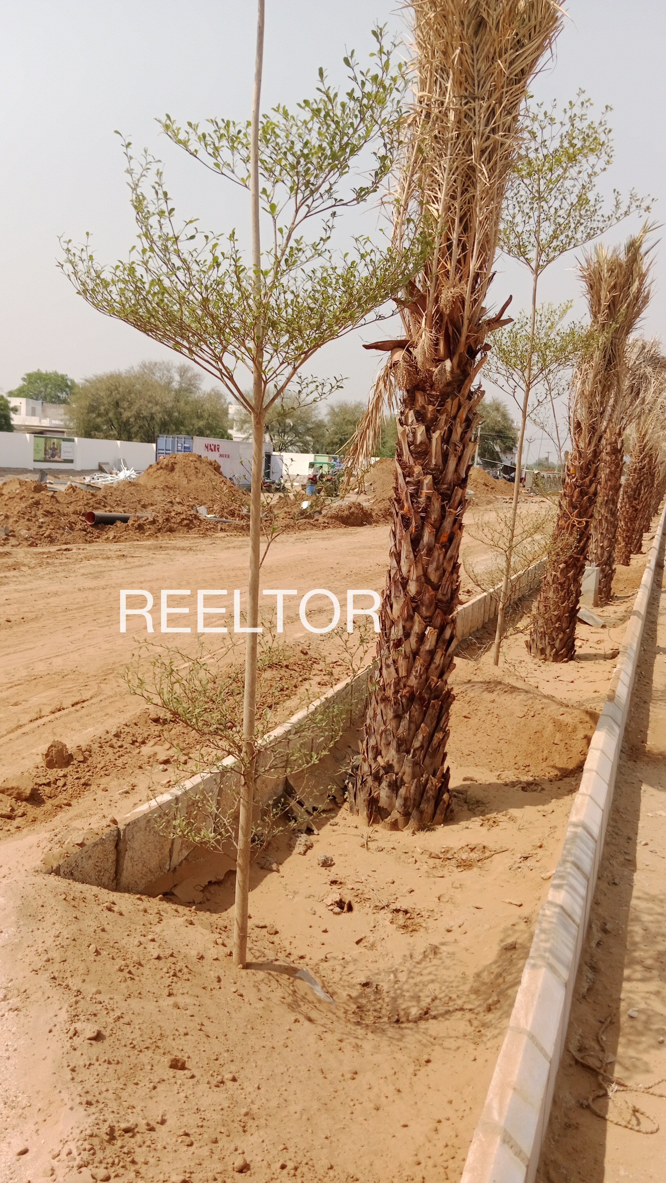 Plots For Sale In Palan Khera Govindgarh