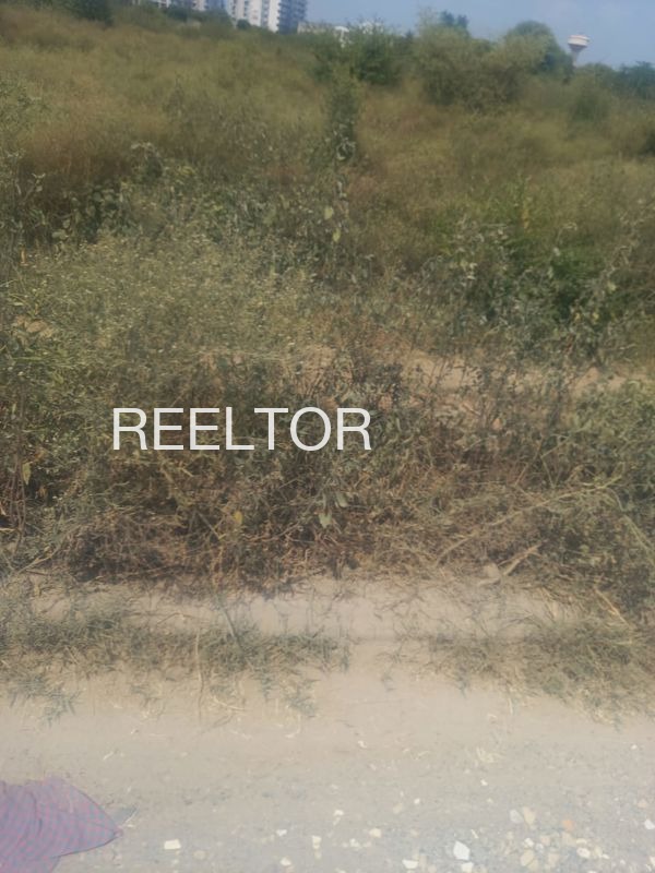 Plots For Sale In Jaspali Pipar City