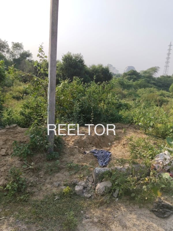 Plots For Sale In Mulchera Maharashtra