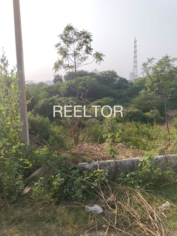 Plots For Sale In Kokri Phula Singh Moga