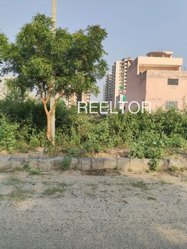 Plots For Sale In Takoda Akola