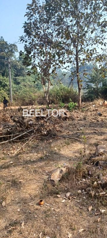 Plots For Sale In Dasipur Gyaraspur