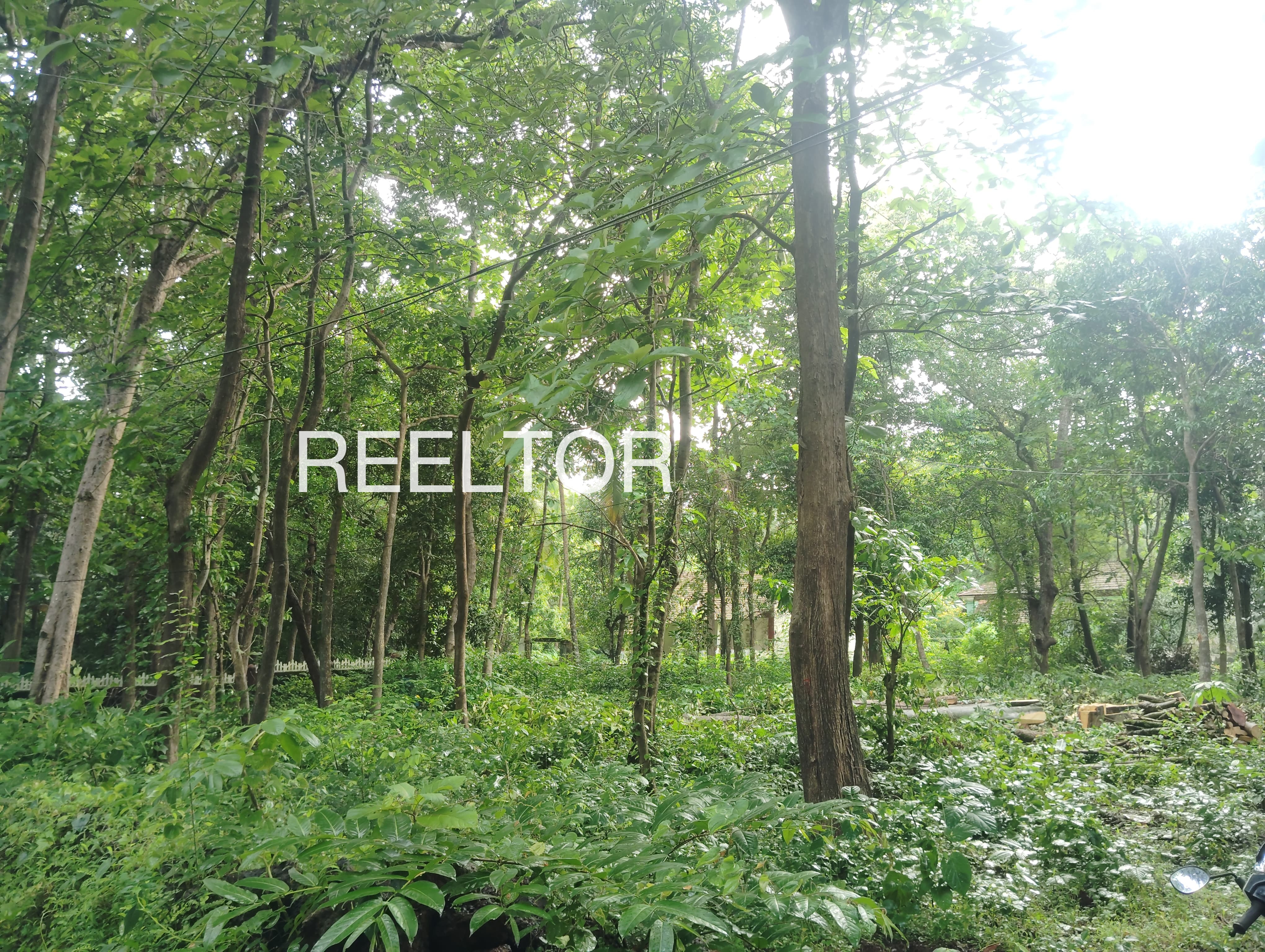 Plots For Sale In Khodwasawergaon Parli