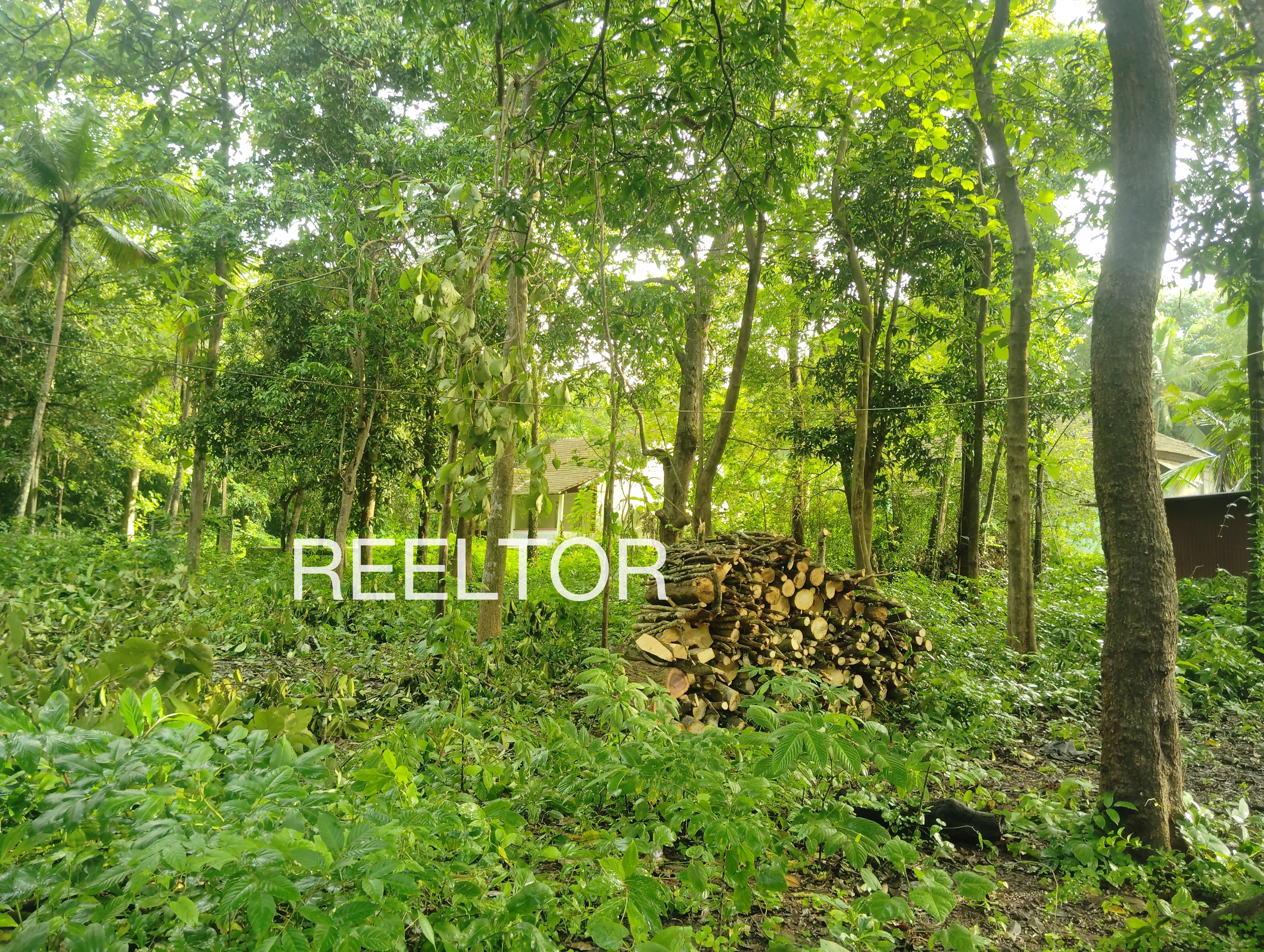 Plots For Sale In Bolkewadi Ajra