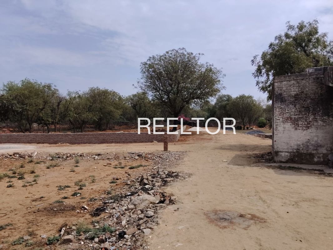 Plots For Sale In Pachgaon Toli Mohadi