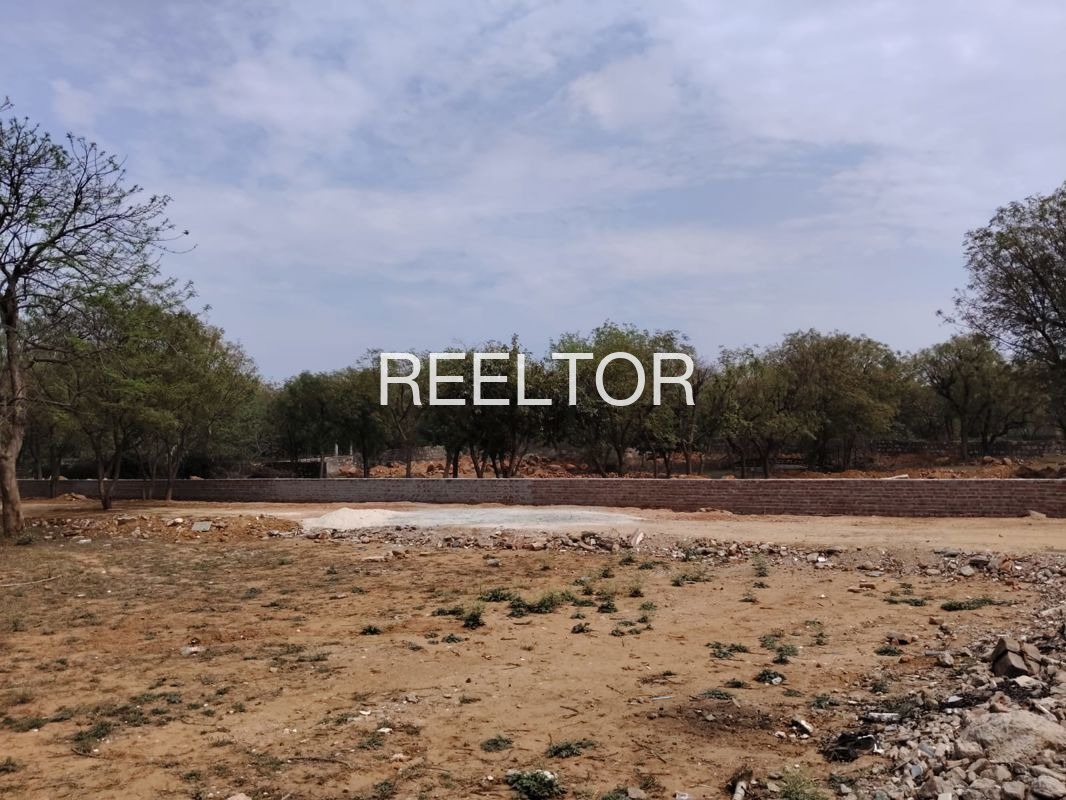 Plots For Sale In Salina Moga