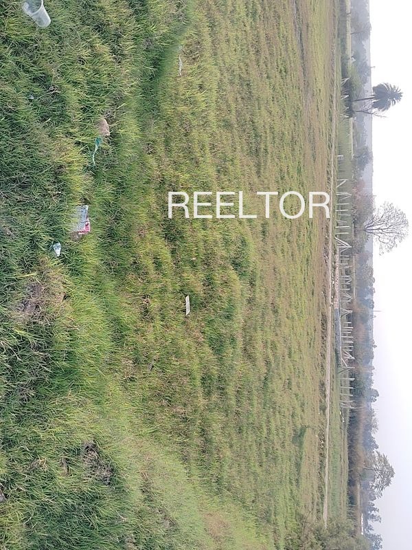 Plots For Sale In Ajande Shirpur