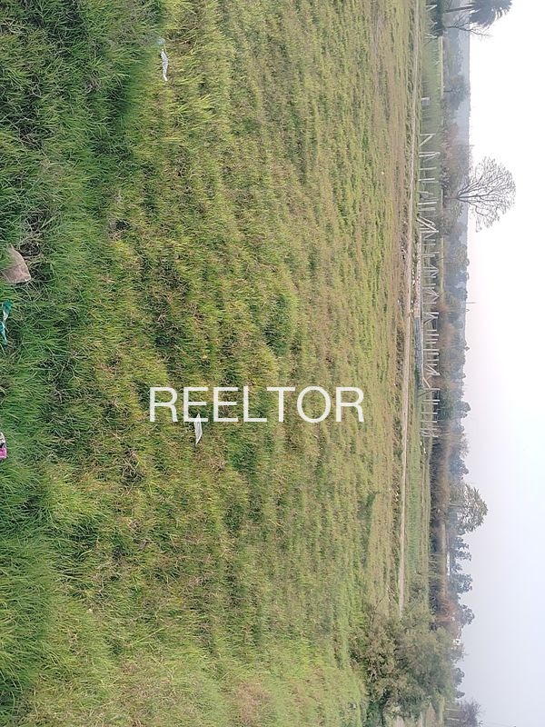 Plots For Sale In Chainpura Khurd Lalsot