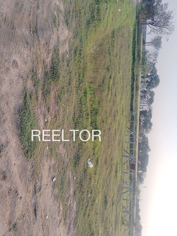 Plots For Sale In Kochukarimtharuvi Peerumade