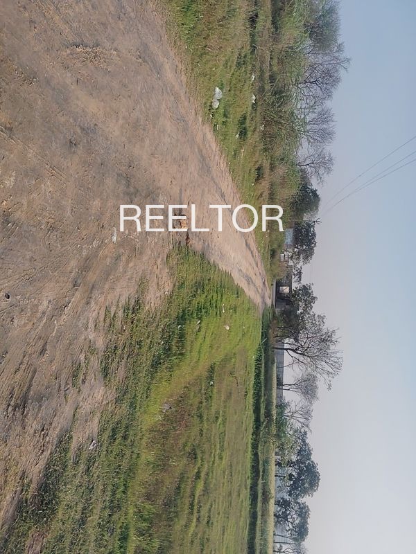 Plots For Sale In Gadhi Mehgaon