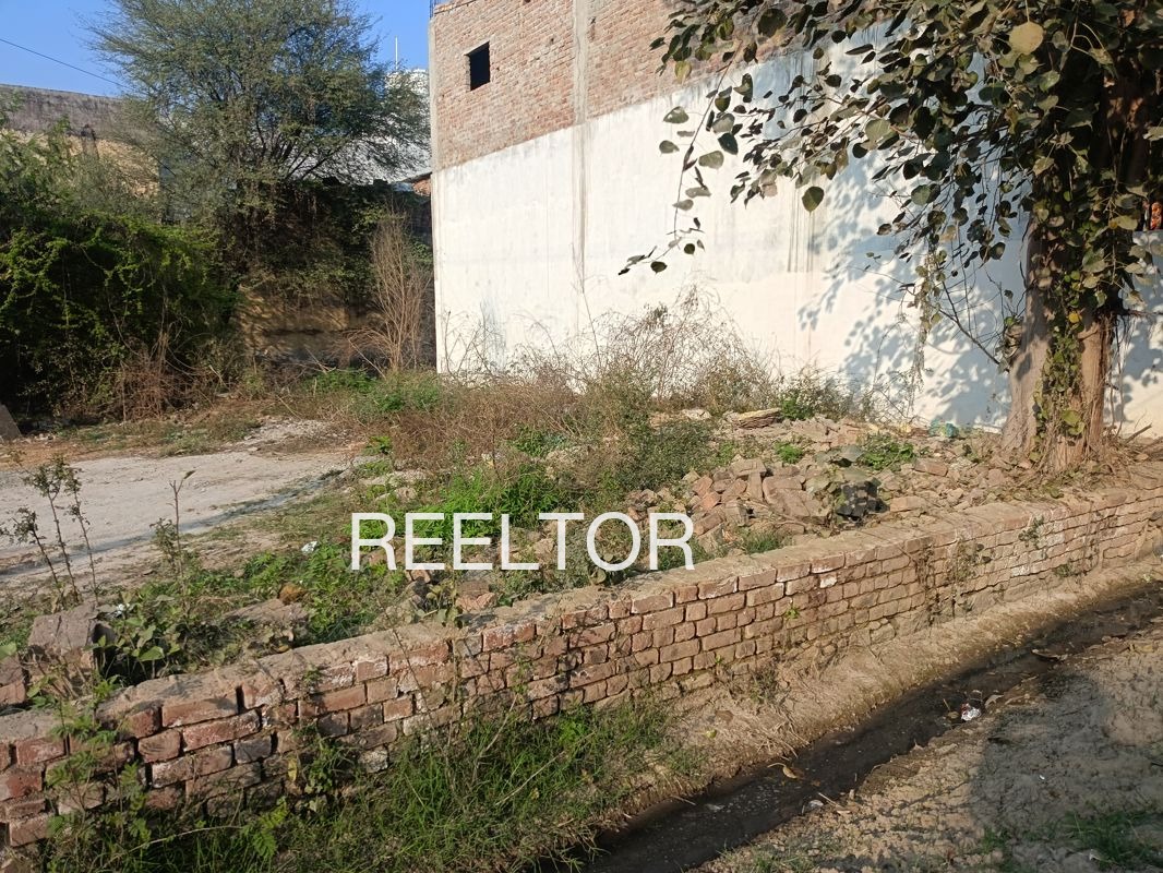 Plots For Sale In Rajdoli Rajgarh